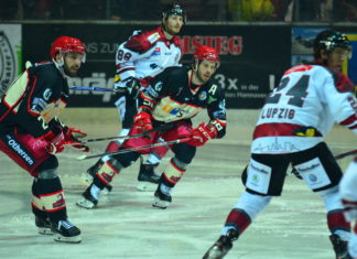 Scorpions weiterhin ungeschlagen