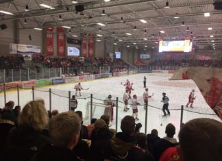 3:0 für die Saale Bulls aus Halle