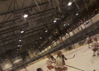 Scorpions verlieren 6:4 in Erfurt