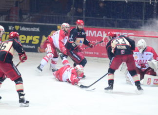 Halle gewinnt 5:3
