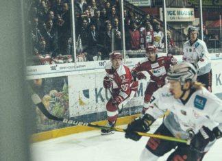 Scorpions siegen 11:1 in Krefeld