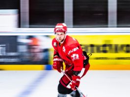 Topspiel: Scorpions vs. Saale Bulls – MEC Halle 04 e.V.