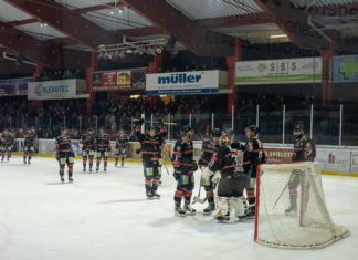 Hannover Scorpions: Die Richtung stimmt