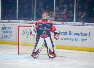 Scorpions erwarten Hammer Eisbären