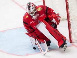 Scorpions erleben historischen Tag