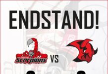 Der Tabellenführer schlägt Halle 3:2