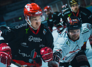Freitag 20 Uhr Scorpions vs. Saale Bulls Halle