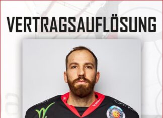 Wölfl verlässt Scorpions