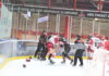Scorpions feiern 8:4-Heimsieg gegen die Saale Bulls Halle!